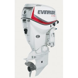 Evinrude E-TEC V4